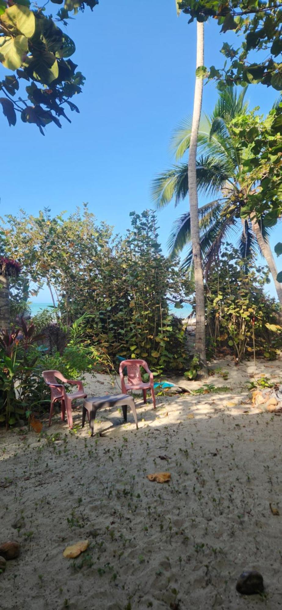 Nueva Onda Bed & Breakfast Palomino Eksteriør bilde